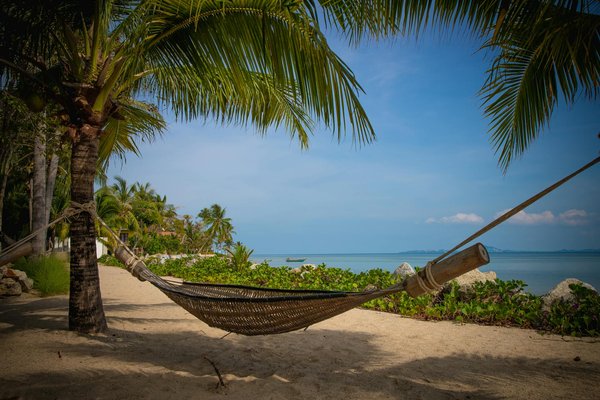 Noleggi Unici per Viaggi Indimenticabili!